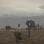 In Pullman Verso Las Vegas